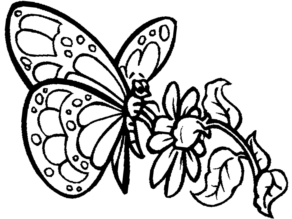 Раскраски для детей бабочки