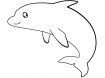 Дельфины раскраски для мальчиков