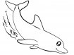 Черно-белые картинки дельфины для раскрашивания