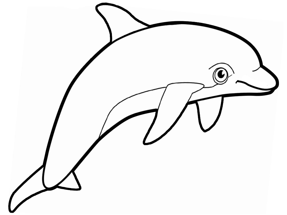 Дельфины раскраски для малышей