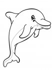 Раскрасить картинки дельфины