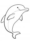 Онлайн раскраски с дельфинами