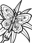 Онлайн раскраски с бабочкой
